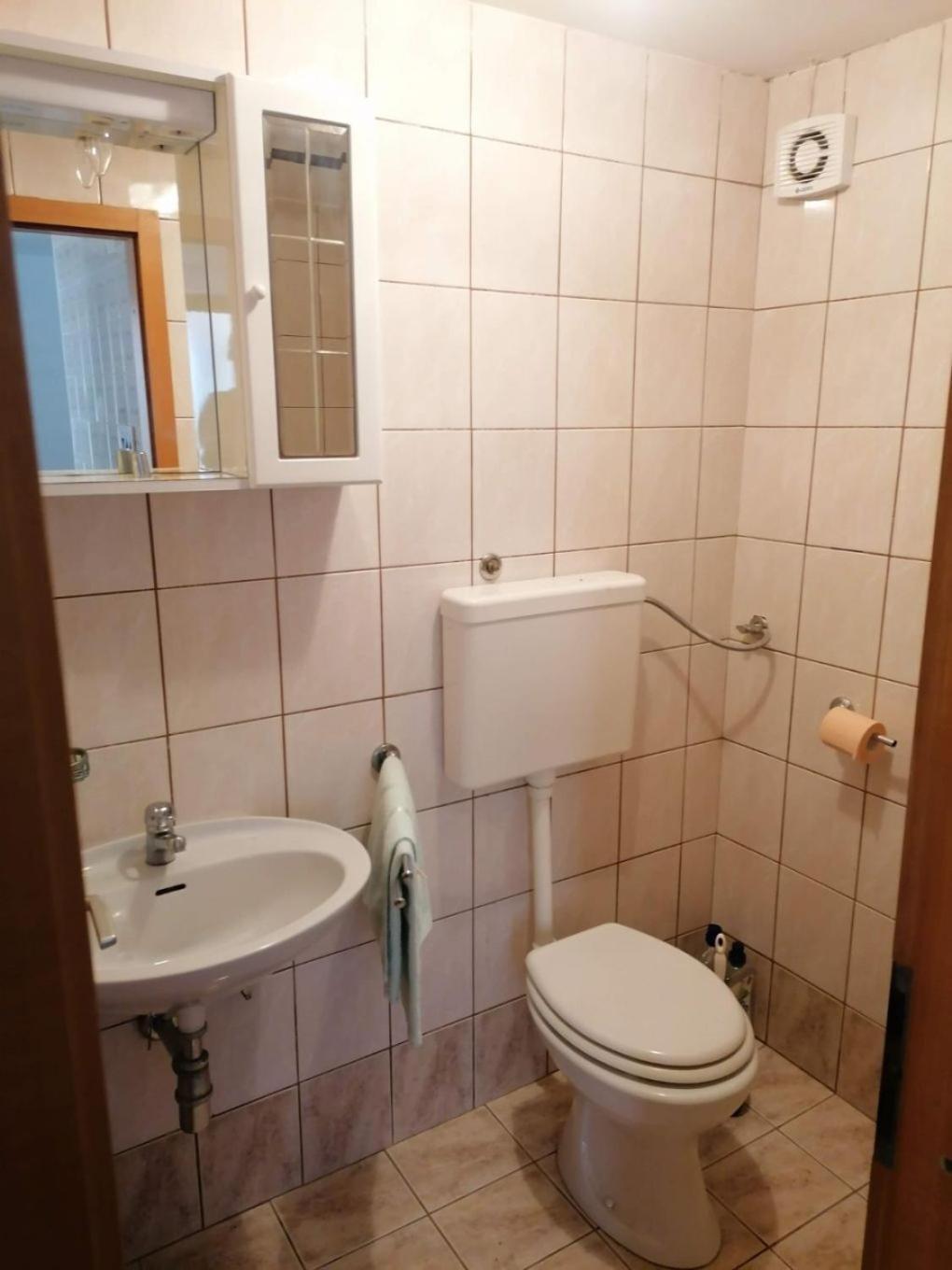 Apartments Olgi - Free Parking ツリクヴェニツァ エクステリア 写真