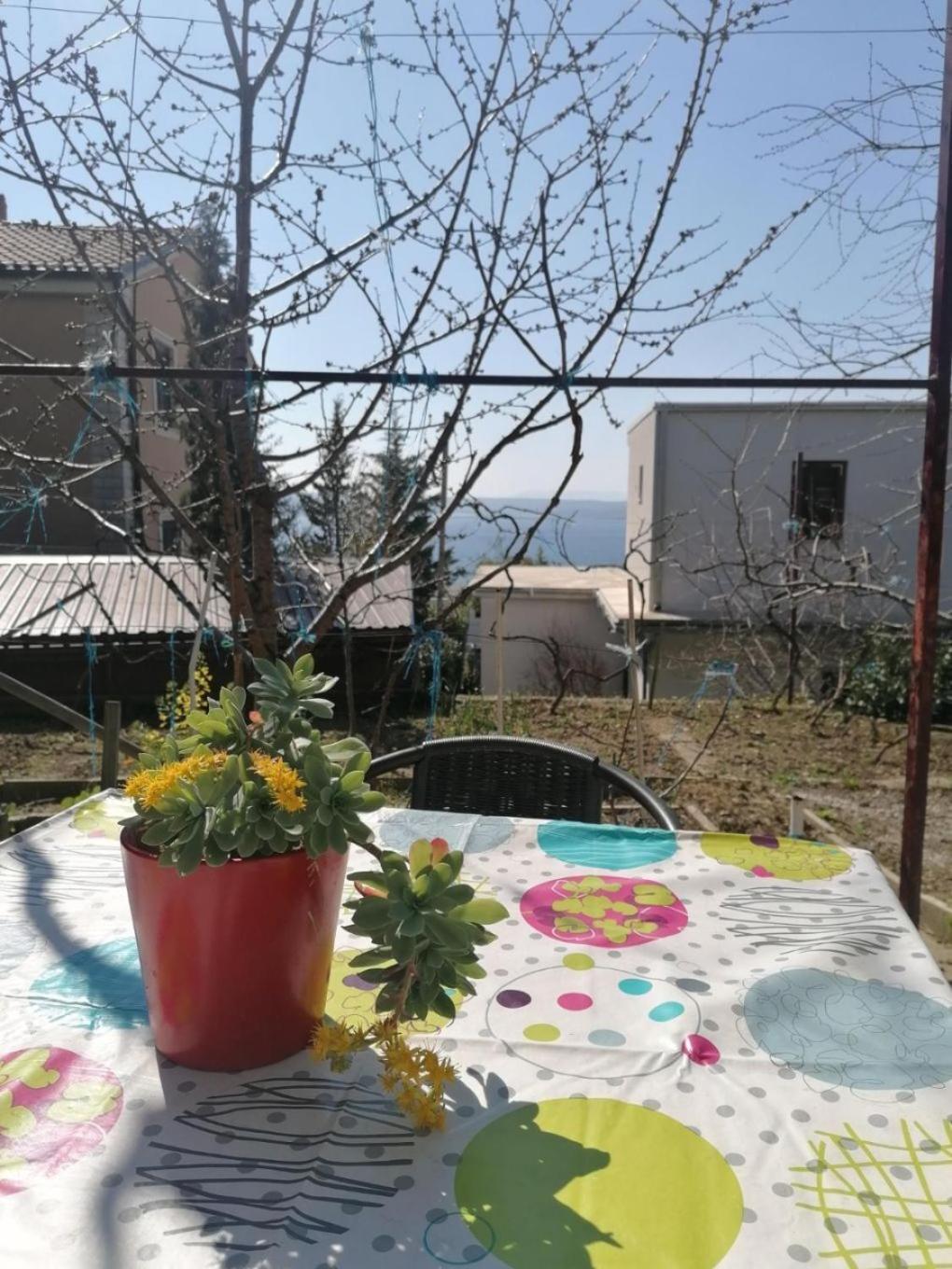 Apartments Olgi - Free Parking ツリクヴェニツァ エクステリア 写真