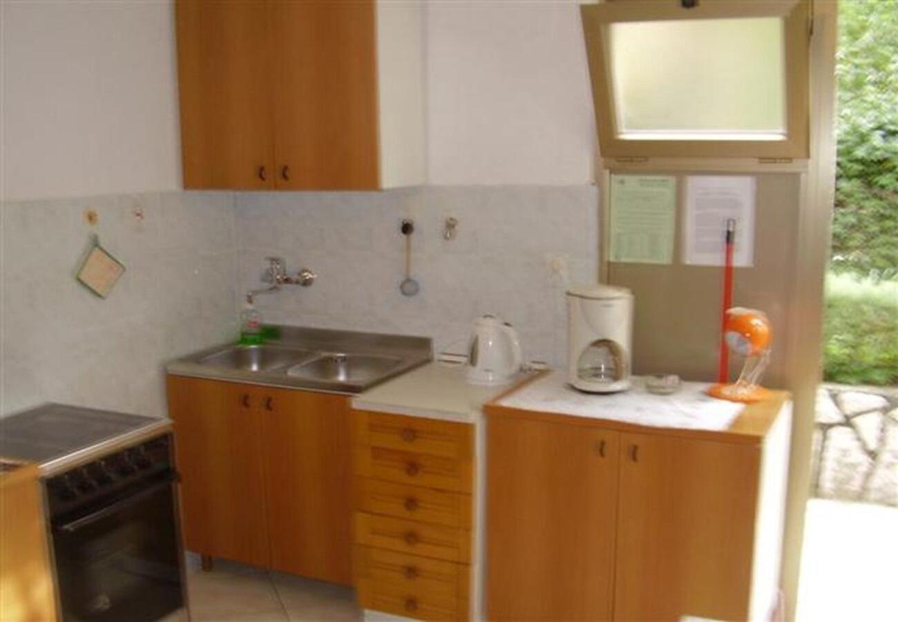 Apartments Olgi - Free Parking ツリクヴェニツァ エクステリア 写真